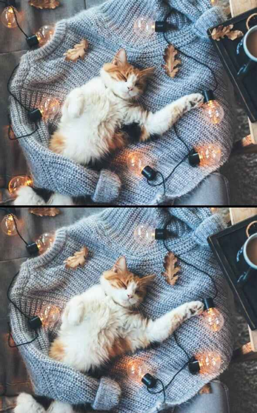 Farkı bul optik illüzyonu