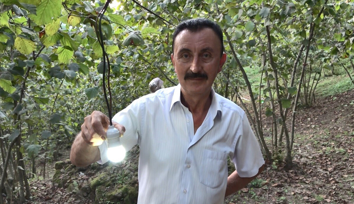 Karadenizli zekası buna denir: Domuzlara bulduğu çözümle gelir kapısını kurtardı