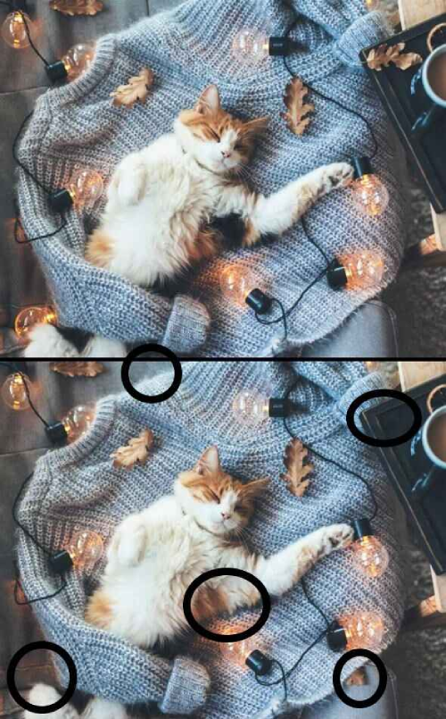 Dikkat gerektiren zeka testi: 5 farkı bulan neredeyse yok!