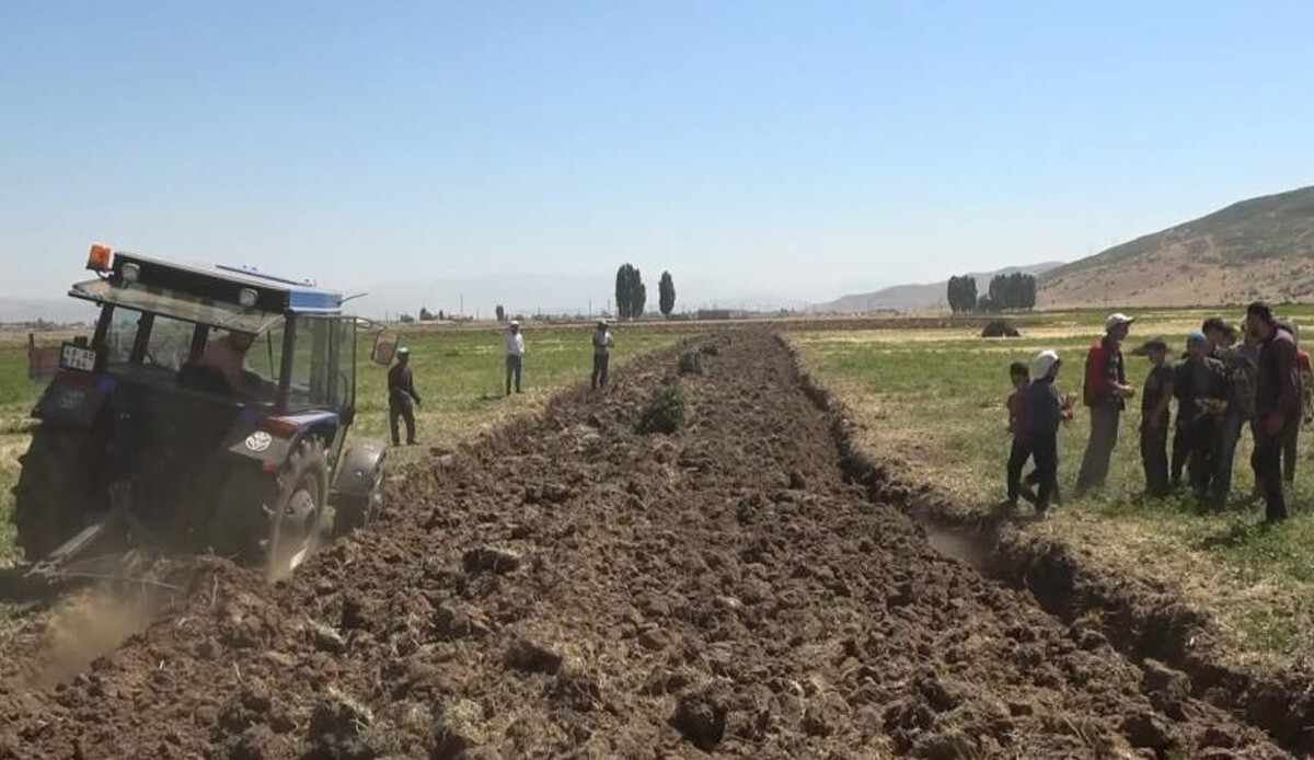 Günde 2 ton toplanıyor, halkın geçim kaynağı oldu! Birden fazla ile satışı var, hem para hem de şifa