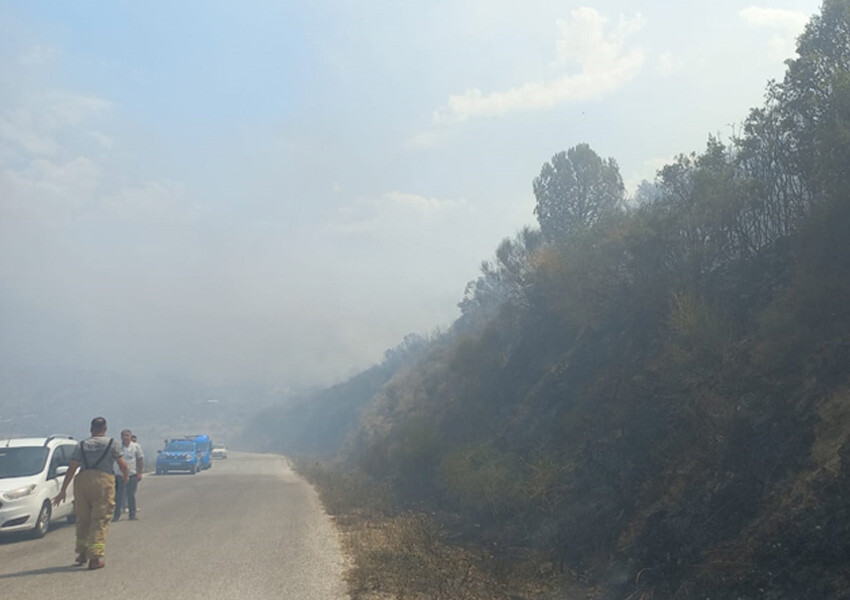 Son dakika: İzmir'de orman yangını! Havadan ve karadan müdahale eliyor