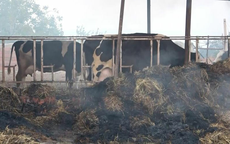 30 yıllık emek kül oldu, ekmek teknesinin yanışını gözyaşlarıyla izledi