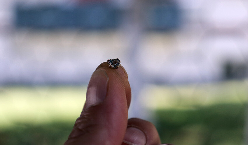 Şoke eden olay: Yediği helvadan çıktı, çiğnerken dişi kırıldı