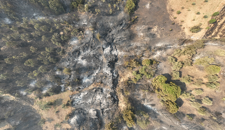 Çanakkale alevlere teslim! Köyler boşaltıldı, yollar kapatıldı: Mücadele devam ediyor