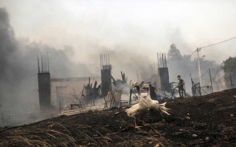 Yunanistan’daki yangında 20 kişi hayatını kaybetti: Facianın boyutu uydudan görüntülendi