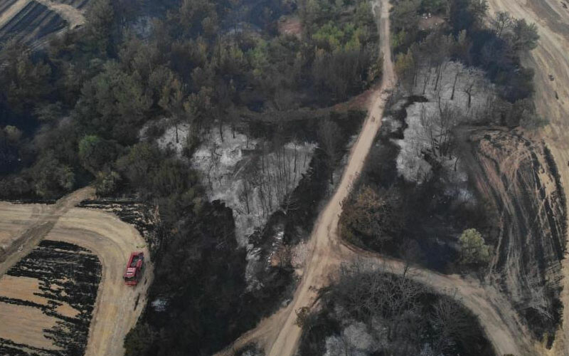 Yaklaşık 1500 hektarlık alanı küle çevirdi… Çanakkale’deki yangın faciasının çıkış anı kamerada!