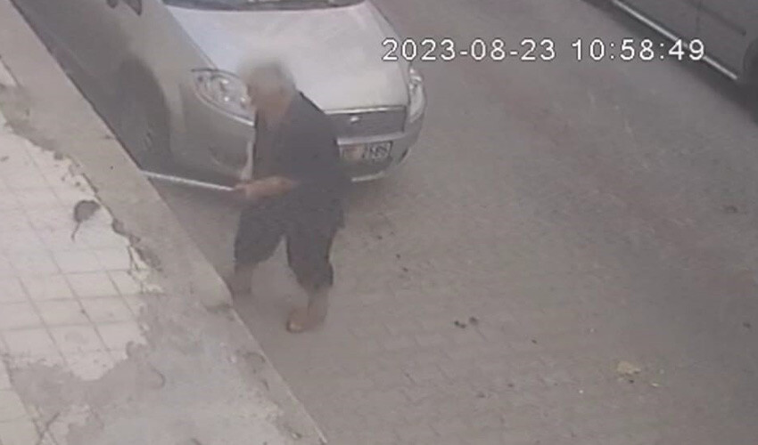 Sokaktaki fare, yaşlı kadını hastanelik etti: Ellerinden kanlar aktı Sokaktaki fare, yaşlı kadını hastanelik etti: Ellerinden kanlar aktı