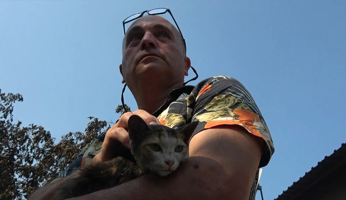 Çaresizliği gözlerinden okundu: Hayvanlarım yandı, hiçbirini kurtaramadım