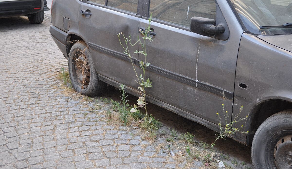 Sahibinin satmak istemediği gizemli araç 10 yıldır aynı yerde duruyor, sebebi herkesi duygulandırıyor