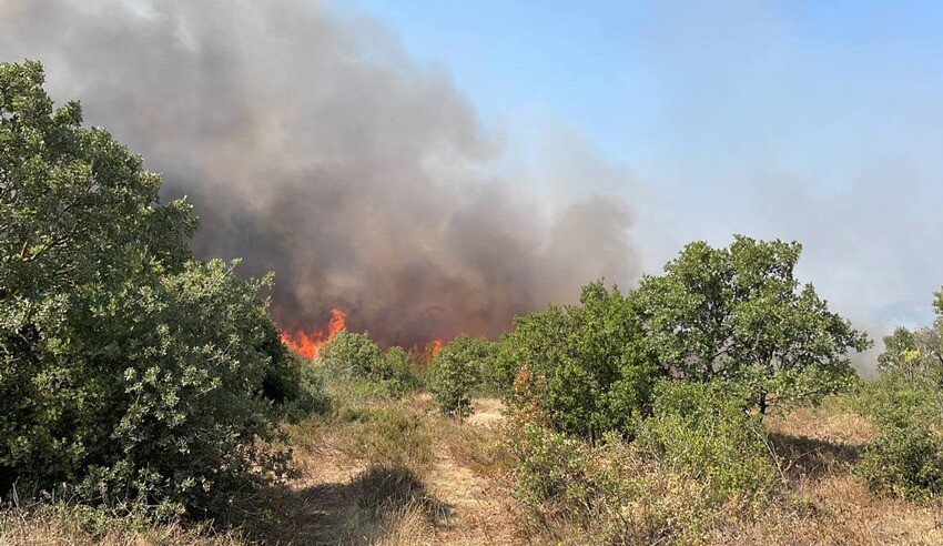 Çanakkale Biga'da orman yangını! Ekipler müdahale ediyor