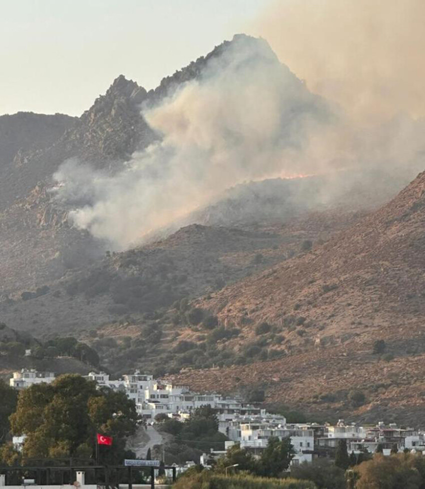 Bodrum'daki yangın 3 saate kontrol altına alındı: 5 hektar alan kül oldu