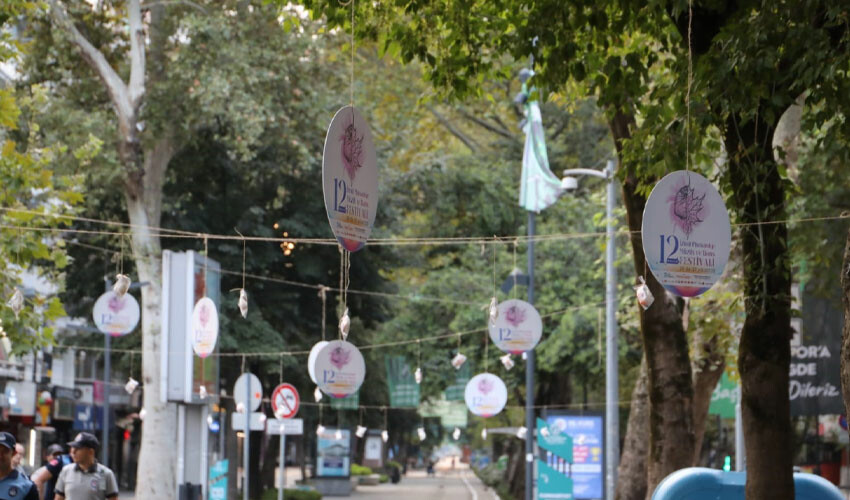 Sürpriz yoğun ilgi gördü: Vatandaş ağaçtan pişmaniye topladı