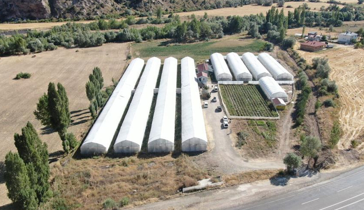 'Bozkırda yapılamaz' dediler, yaptı, şimdi de taleplere yetişemiyor! Yıllık 100 ton üretiyor, arazisinin geldiği nokta görenleri şaşkına çevirdi