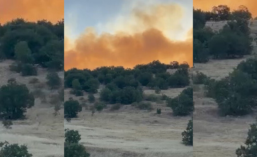 Diyarbakır'da korkutan orman yangını: Çok sayıda ekip sevk edildi