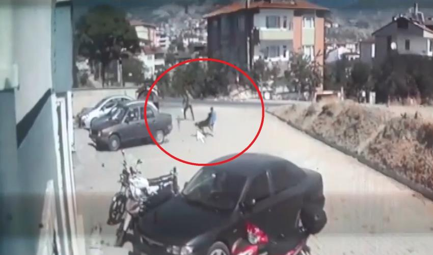 Sokak köpekleri yine dehşet saçtı! Çocuğu ölümden dönen baba: Bizim canımız yandı, başkalarının canı yanmasın!