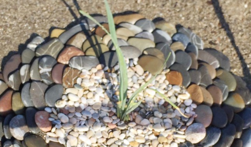 Nesli tükeniyor...Koparmanın cezası 244 bin TL