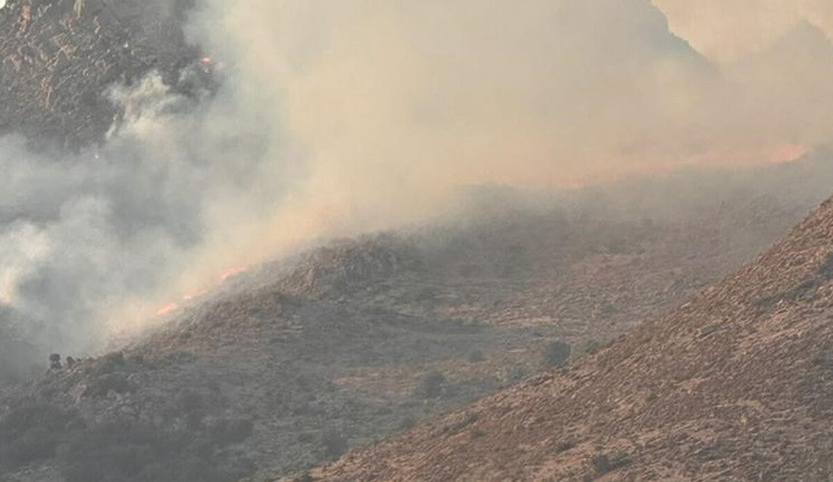 Bodrum'daki yangın 3 saate kontrol altına alındı: 5 hektar alan kül oldu Bodrum'daki yangın 3 saate kontrol altına alındı: 5 hektar alan kül oldu