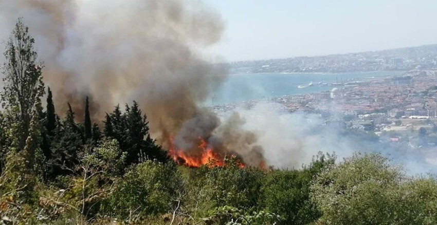 İstanbul'da orman yangını: Alevler yerleşim yerlerine yaklaştı