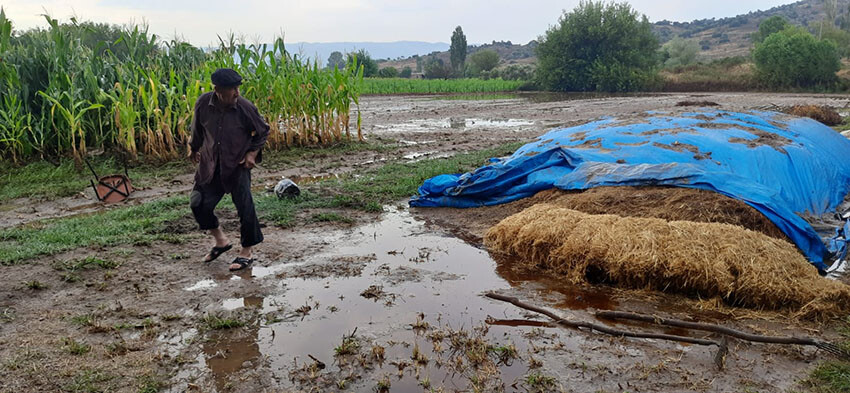 Aydın'ı sağanak vurdu: Dereler taştı, evleri su bastı