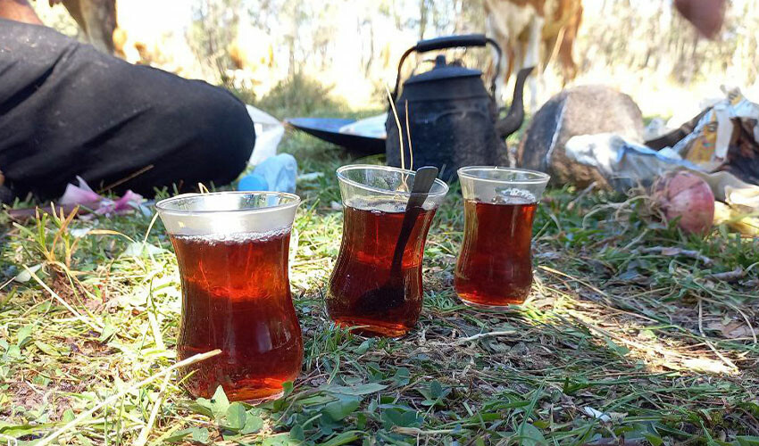 Günün yorgunluğunu atmanın sırrı: Kara demlik çayı