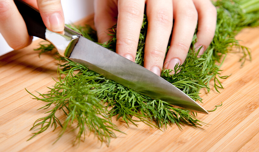 Her yemeğinize katmak isteyeceksiniz: Şifalı ot felç riskini engelliyor