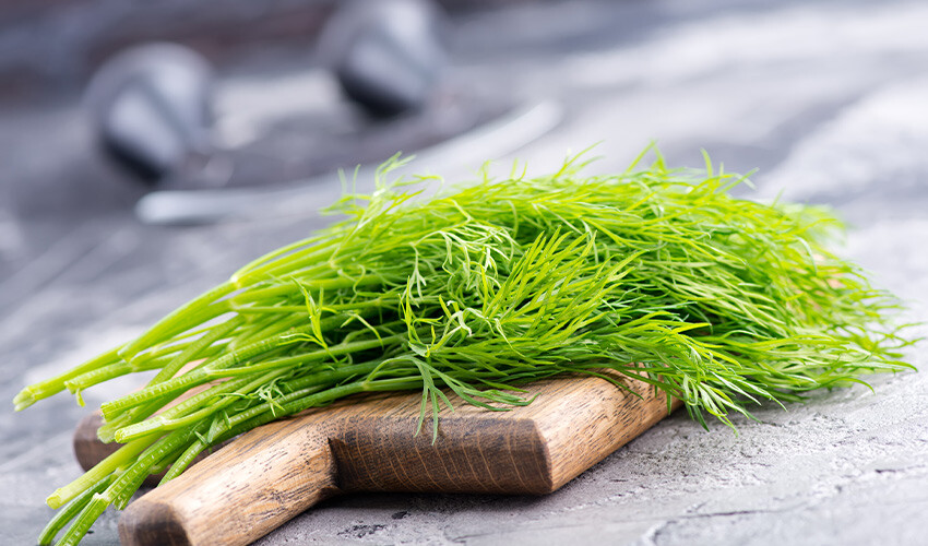 Her yemeğinize katmak isteyeceksiniz: Şifalı ot felç riskini engelliyor