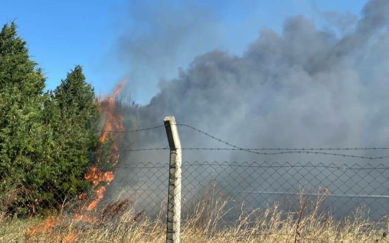 Çorlu’da korkutan yangın: Alevler otluk alana sıçradı