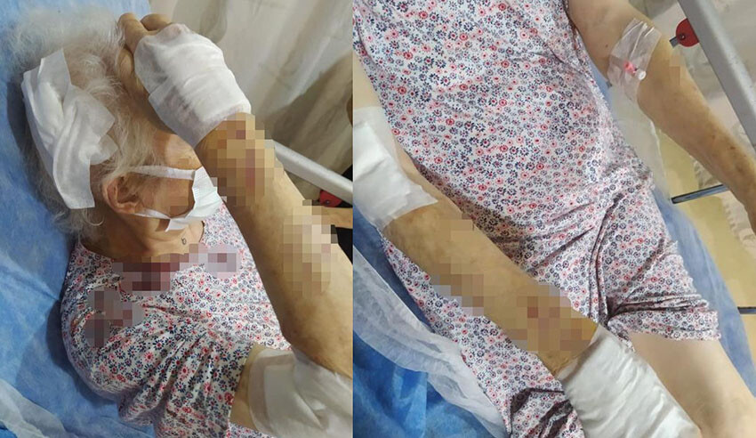 İstanbul'da akıl almaz olay! Sahibinden kaçan maymun dehşet saçtı: Yaralılar var