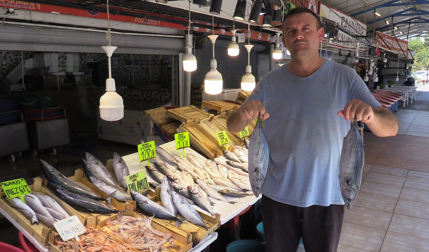 Sezonun açılmasını bekliyorlar: Bu yıl hamsi ve çinekopta bolluk var!