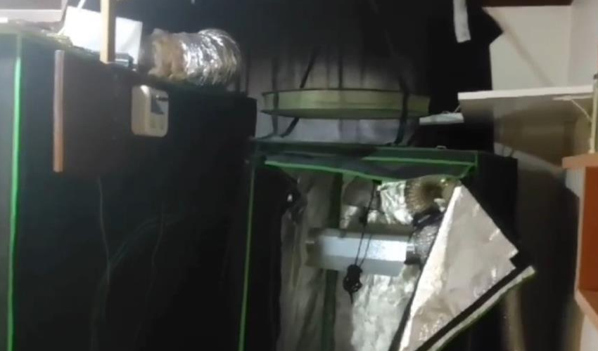 Ev değil uyuşturucu fabrikası: Cezaevine gönderildi