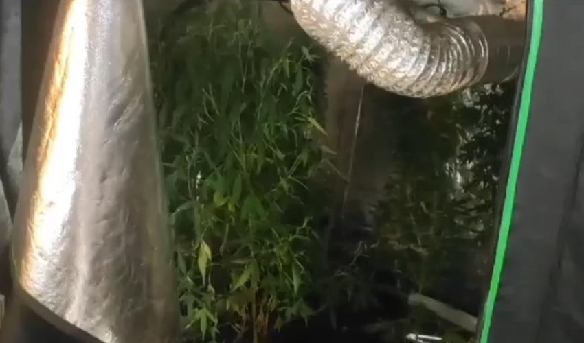 Ev değil uyuşturucu fabrikası: Cezaevine gönderildi