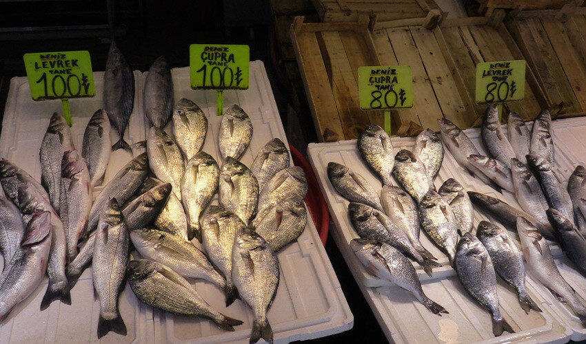 Sezonun açılmasını bekliyorlar: Bu yıl hamsi ve çinekopta bolluk var!