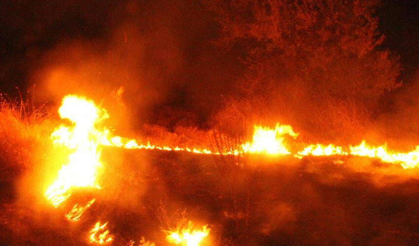 Tarım arazilerindeki yangınlara karşı uyarı!