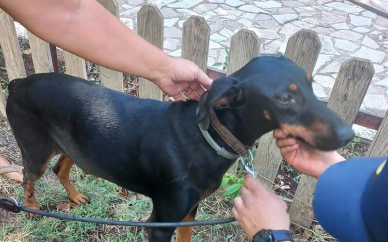 Kayıp ekonomist Korhan Berzeg için ‘Tina’ planı! Kayıp ekonomist Korhan Berzeg için ‘Tina’ planı!