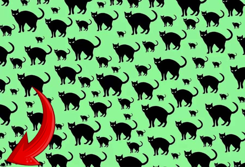 Süre: 8 saniye! Gizli fareyi en zekiler bile bulamıyor