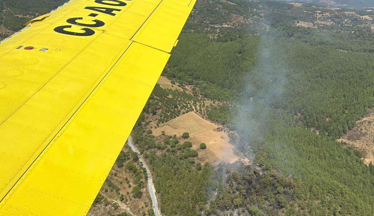 Muğla&#039;da orman yangını! Ekipler harekete geçti