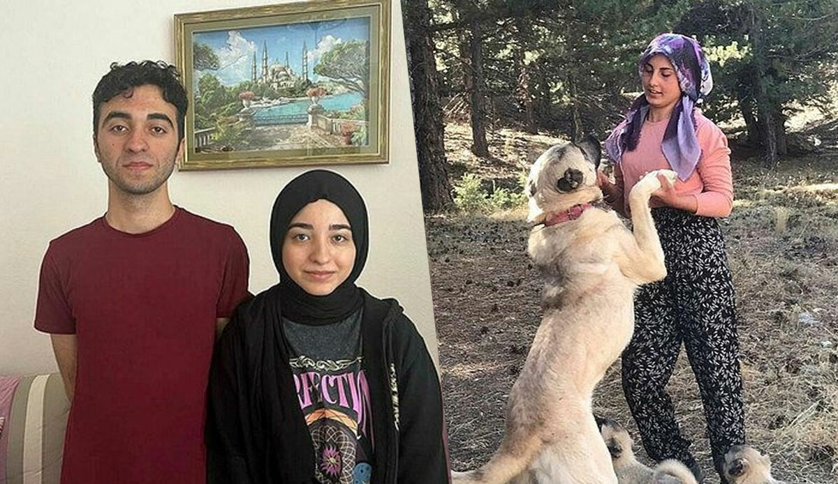 Azmin örneği: Çobanlık yaparken tıp fakültesini kazandı! Köyünün gurur kaynağı oldu Azmin örneği: Çobanlık yaparken tıp fakültesini kazandı! Köyünün gurur kaynağı oldu