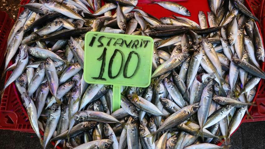 Balık sezonu açıldı, tezgahlar şenlendi: Hamsi, mezgit, palamut ve çupranın fiyatları belli oldu