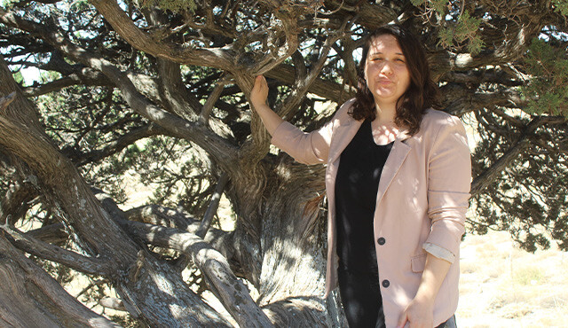 Dağ başında tek başına, tam 700 yaşında...