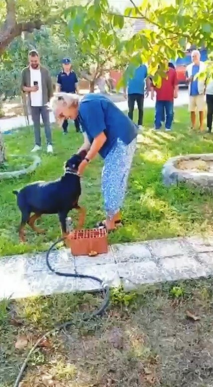 Korhan Berzeg eşi Angelina-Köpek Tina