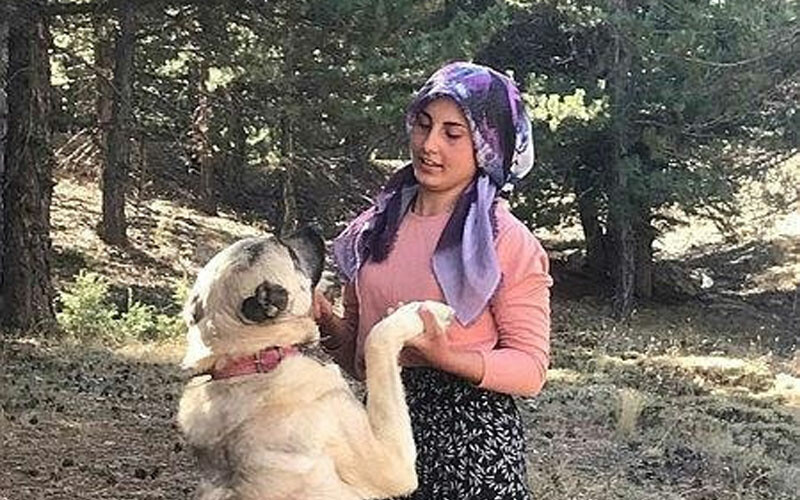 Azmin örneği: Çobanlık yaparken tıp fakültesini kazandı! Köyünün gurur kaynağı oldu