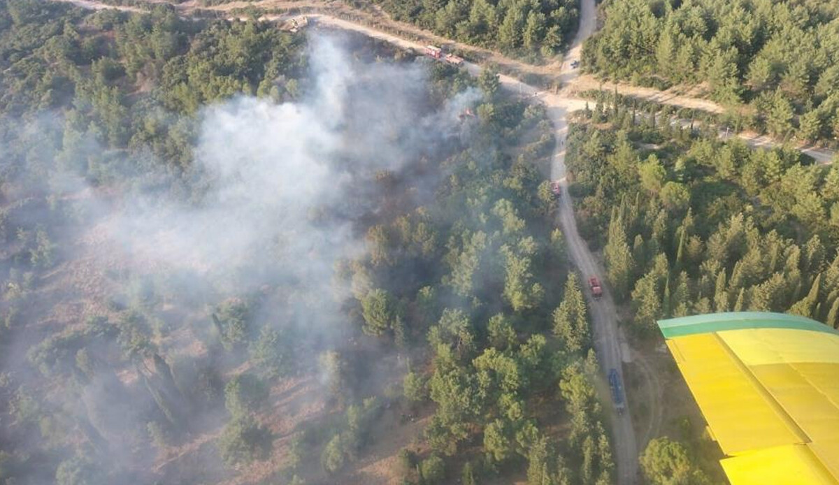 İzmir Gaziemir'deki orman yangını kontrol altına alındı İzmir Gaziemir'deki orman yangını kontrol altına alındı