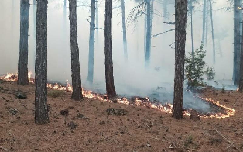 Kütahya’da ormanlık alanda yangın Kütahya’da ormanlık alanda yangın