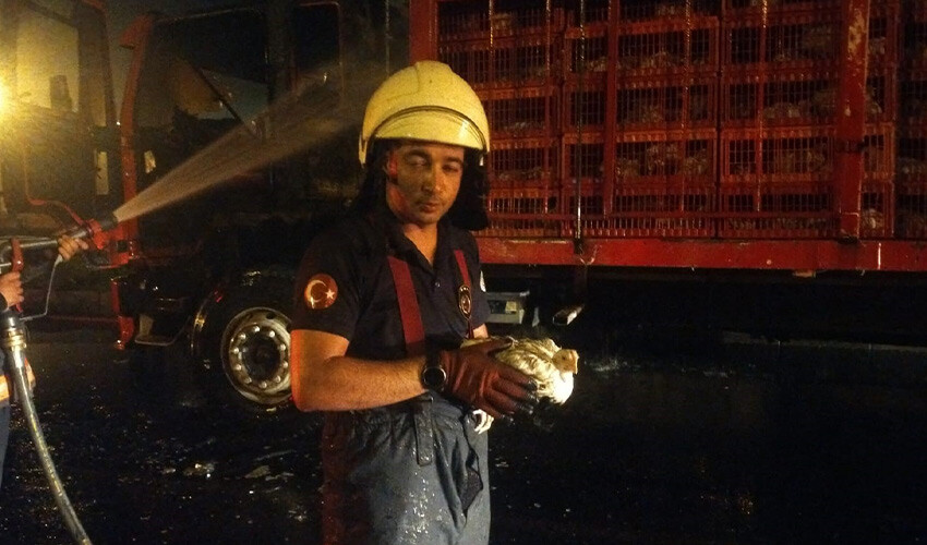 Tavuk yüklü tırda korkutan yangın!