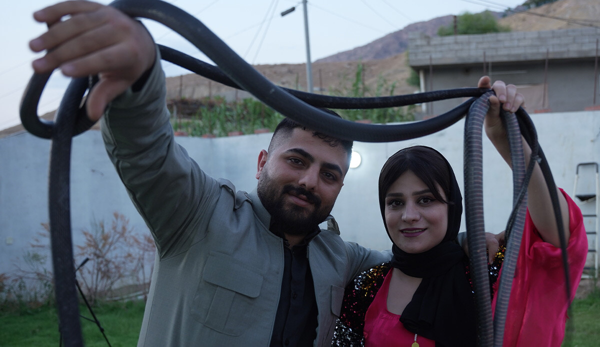 Genç çiftin geçim kaynağı tüyler ürpertti! Kayalıklardan topluyorlar, bölgede ilk ve tek: Şaşırtıcı ama birçok faydası var