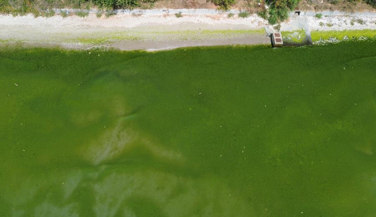 Kapatılan Florya Sahilinin son hali içler acısı: Renk değiştirdi