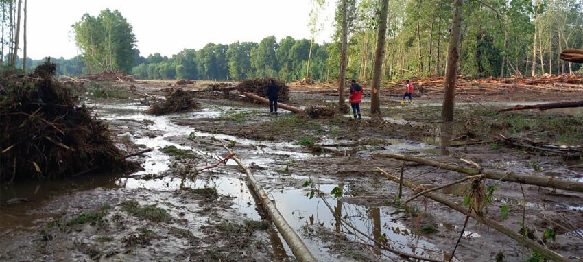 Son dakika: Kırklareli'ndeki sel felaketinde acı haber geldi... Can kaybı 5'e yükseldi