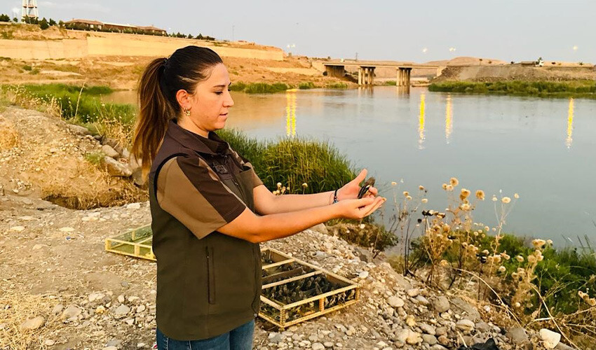 Saka kuşu kaçakçılarına rekor ceza