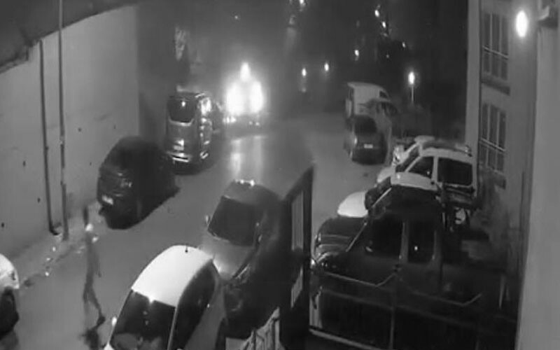 İstanbul'da panik anlar: Yaban domuzları şehir merkezine indi!