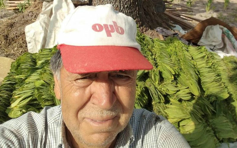 Çiftçiler paraya para demiyor! Eken azaldı, fiyatlar yükseldi… Kazancı gören başlıyor Çiftçiler paraya para demiyor! Eken azaldı, fiyatlar yükseldi… Kazancı gören başlıyor